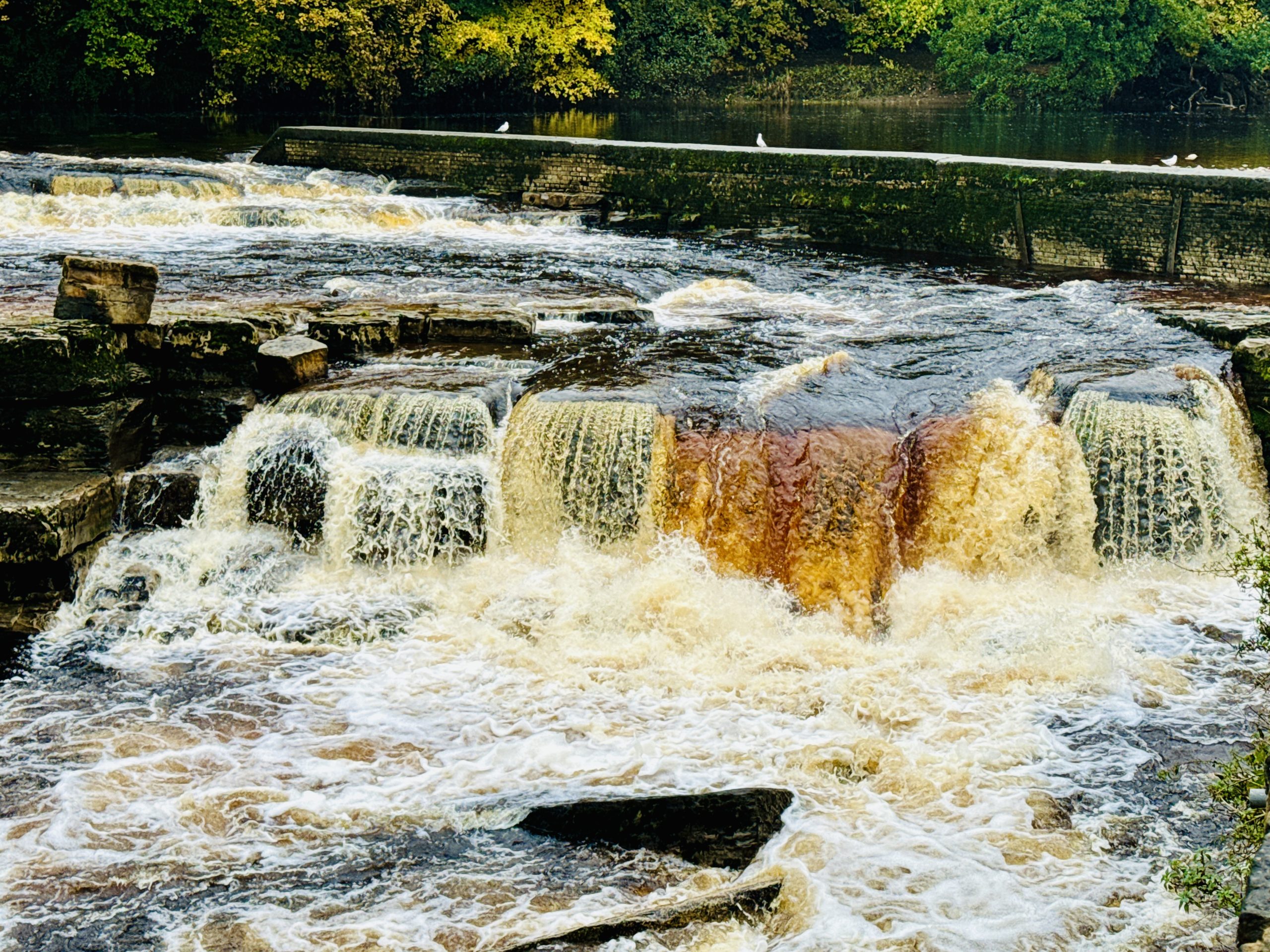 DJI_20231027_130340_472