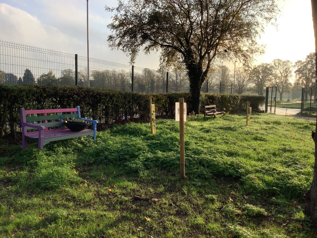 Garden-In-the-Park-1-1024x768